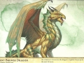 dd-5th-edition-monster-manual-bronze-dragon