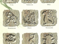 D&D_Tomb_of_Annihilation_sample_puzzle_cube_configuration
