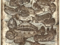 D&D_volos_guide_to_monsters_mind_flayer_colony
