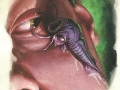 D&D_volos_guide_to_monsters_mind_flayer_tadpole