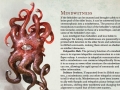 D&D_volos_guide_to_monsters_mindwitness