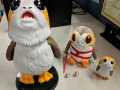 shane porgs 6-6-2018
